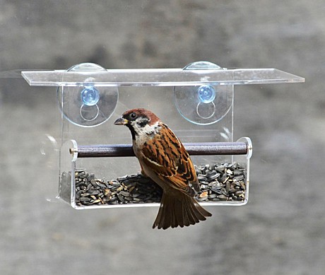 Кормушка для птиц из подручных материалов своими руками 700 фото, мастер классы