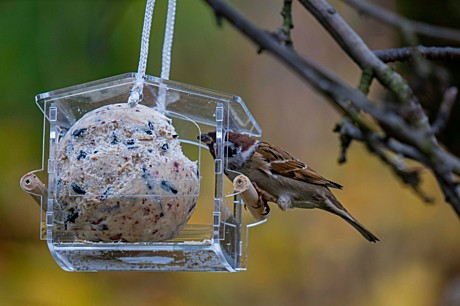 Кормушка уличная Избушка