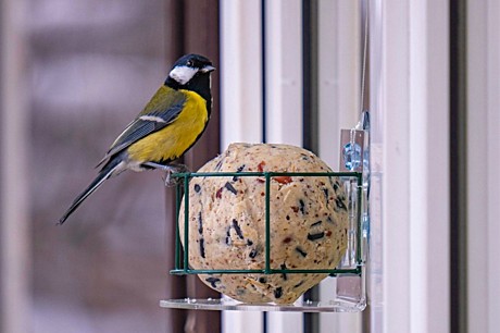 Кормушка для птиц 