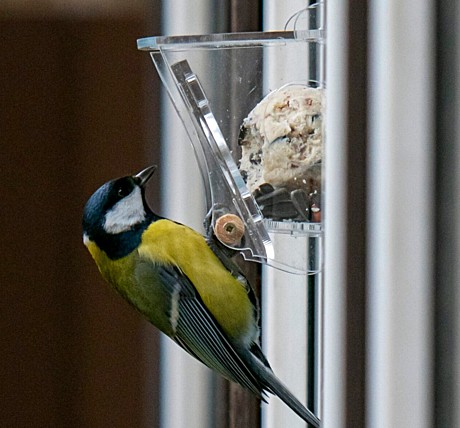 Кормушка для птиц 